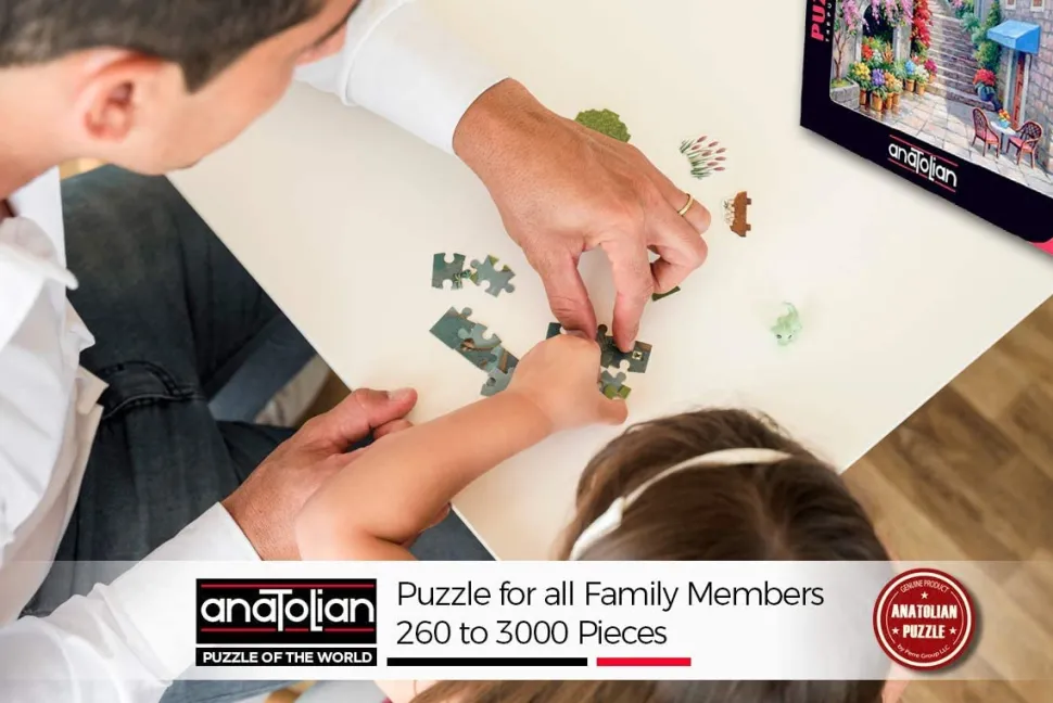 Anatolian - Canal Cafe Venice by David Maclean Jigsaw Puzzle (1500 Pie