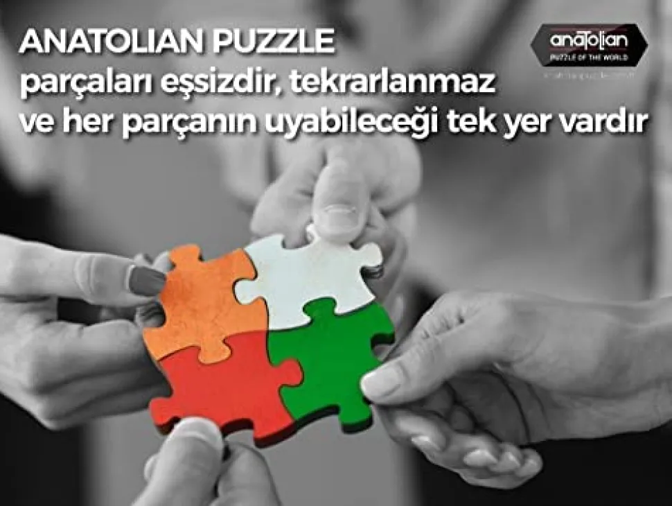 Anatolian - Dino Valley I Jigsaw Puzzle (260 Pieces)