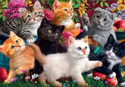 Anatolian - Kittens At Play Jigsaw Puzzle (260 Pieces)