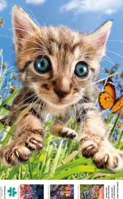 Buffalo Games - Earthpix Collection - Pounce! - 500 Piece Jigsaw Puzzl