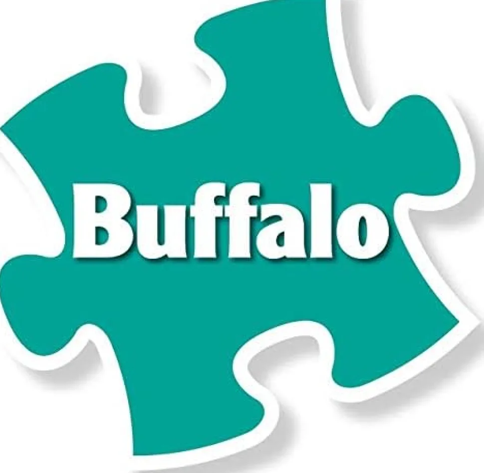 Buffalo Games - Family Campsite with Hidden Images by Aimee Stewart Ji