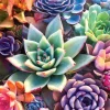 Buffalo Games - Simple Succulent - 1000 Piece Jigsaw Puzzle