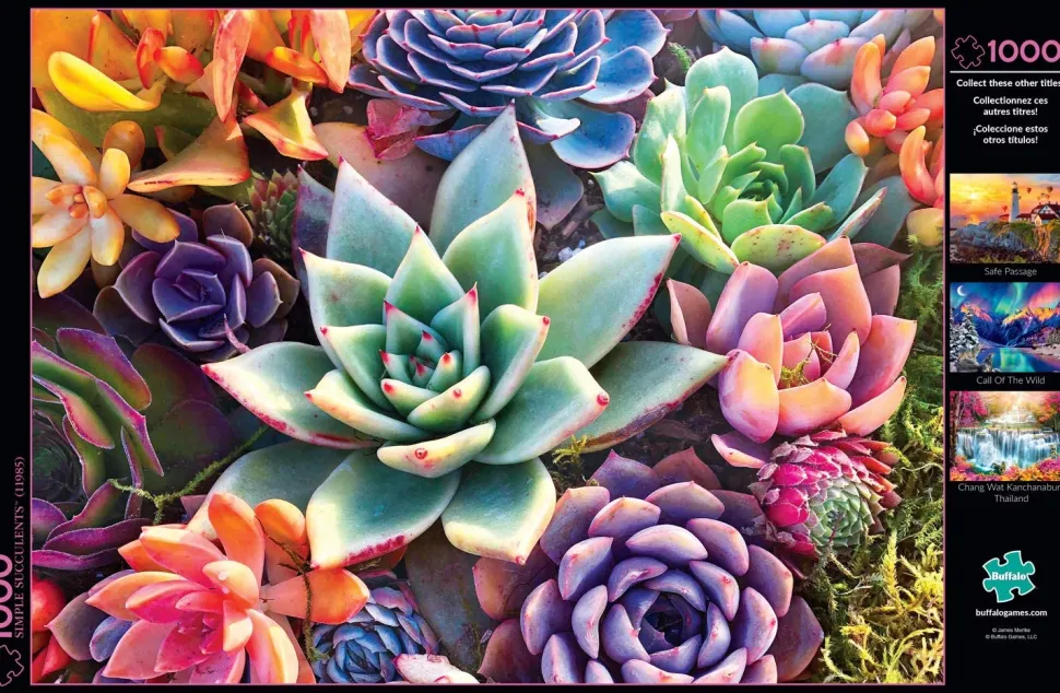 Buffalo Games - Simple Succulent - 1000 Piece Jigsaw Puzzle