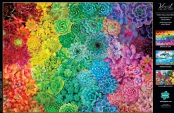 Buffalo Games - Succulent Rainbow - 1000 Piece Jigsaw Puzzle