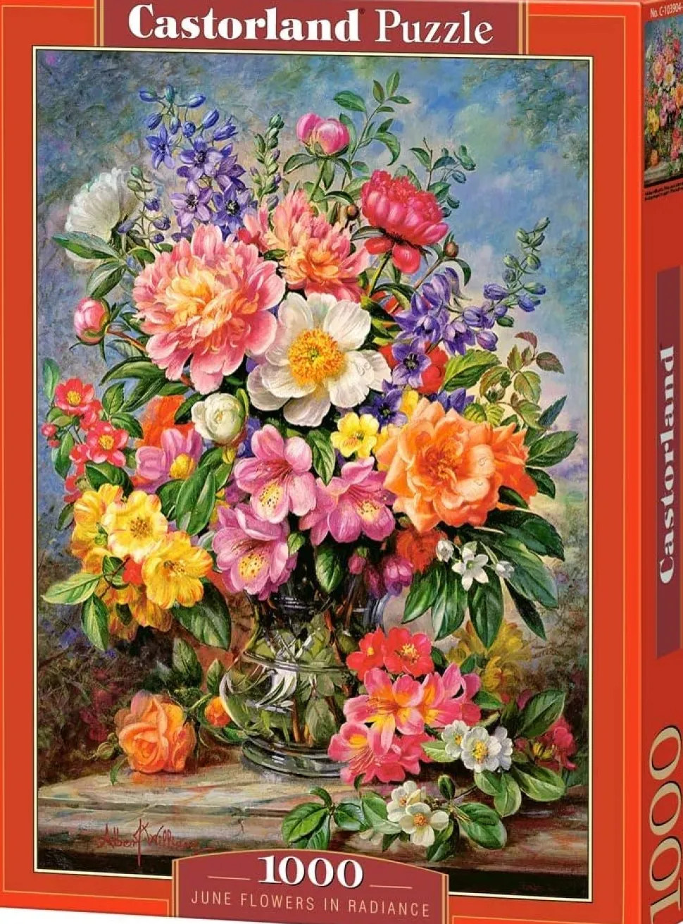 Castorland - June Flowers In Radiance Jigsaw Puzzle (1000 Pieces)