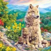 Castorland - New Generation Jigsaw Puzzle (1000 Pieces)