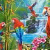 Castorland - Parrot Meeting Jigsaw Puzzle (2000 Pieces)