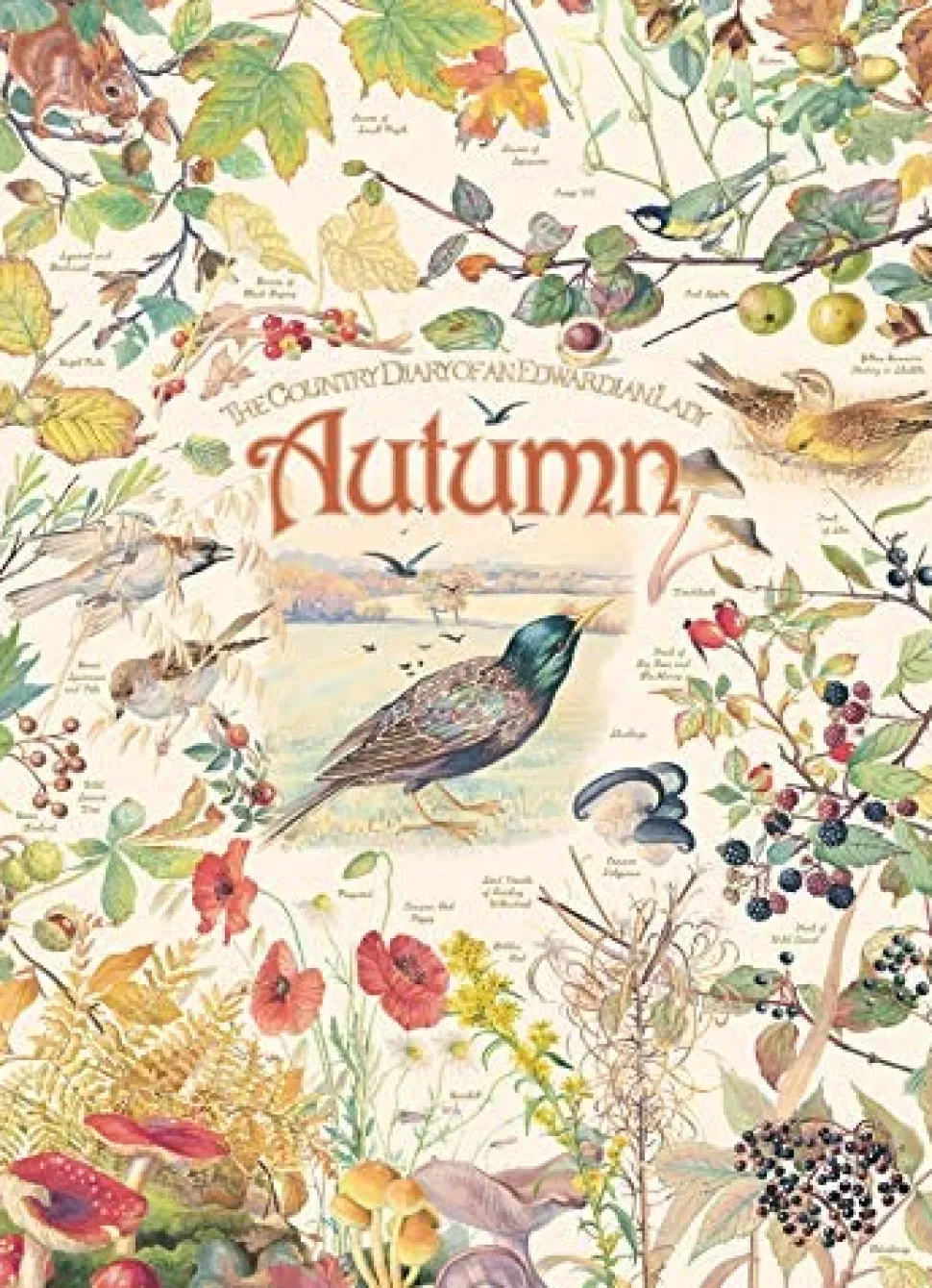 Cobble Hill - Country Diary: Autumn Jigsaw Puzzle (1000 Pieces)