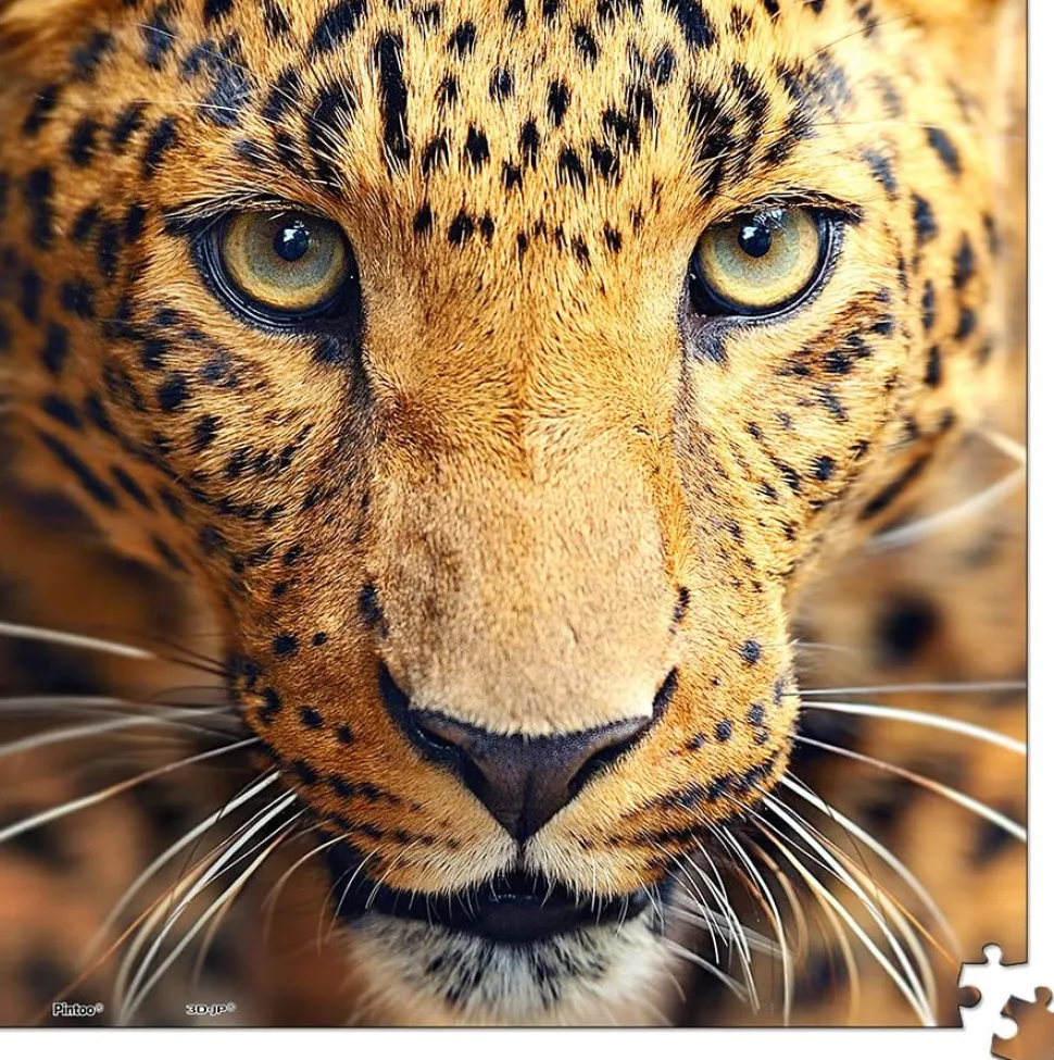 Pintoo - Close up Leopard Showpieces XS Plastic Jigsaw Puzzle (256 Pie