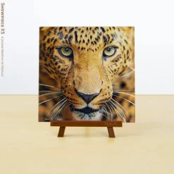 Pintoo - Close up Leopard Showpieces XS Plastic Jigsaw Puzzle (256 Pie