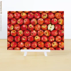 Pintoo - Showpiece Xs - Fruits - Apple Plastic Jigsaw Puzzle (368 Piec