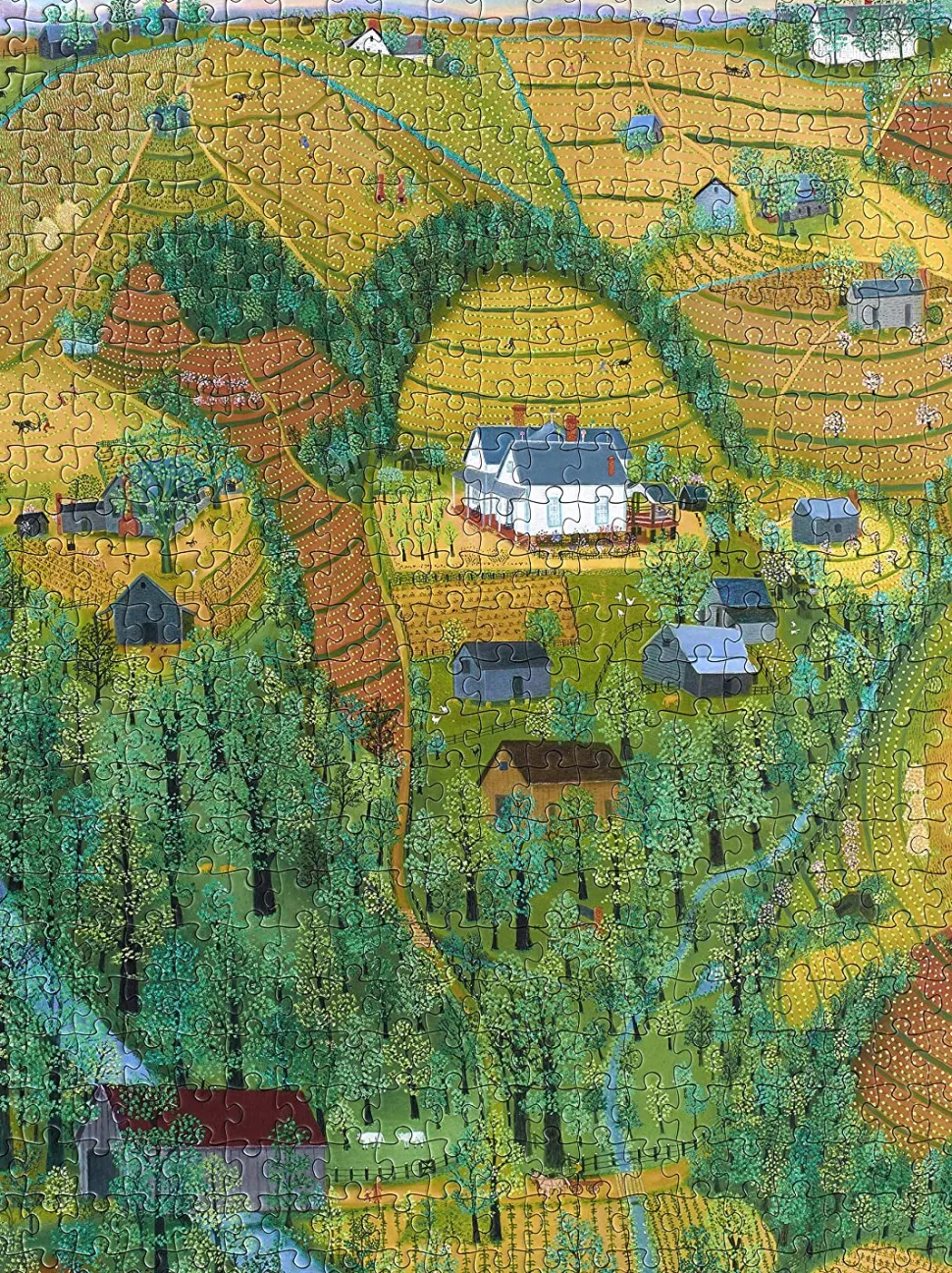 Pomegranate - My Parents' Farm by Mattie Lou O'kelley Jigsaw Puzzle (5