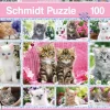Schmidt - Kittens Jigsaw Puzzle (100 Pieces)