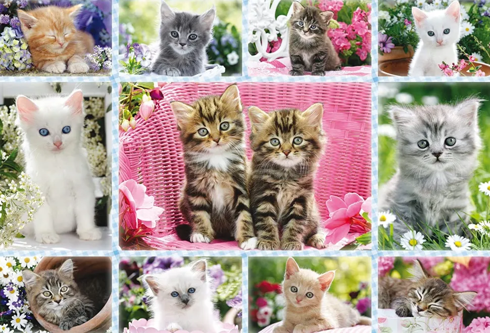 Schmidt - Kittens Jigsaw Puzzle (100 Pieces)