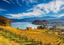 Schmidt - Vineyards Jigsaw Puzzle (2000 Pieces)